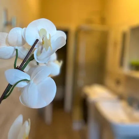 Apartman Kibilu - Elegant City-center Near Hospitals Fast Wi-fi *